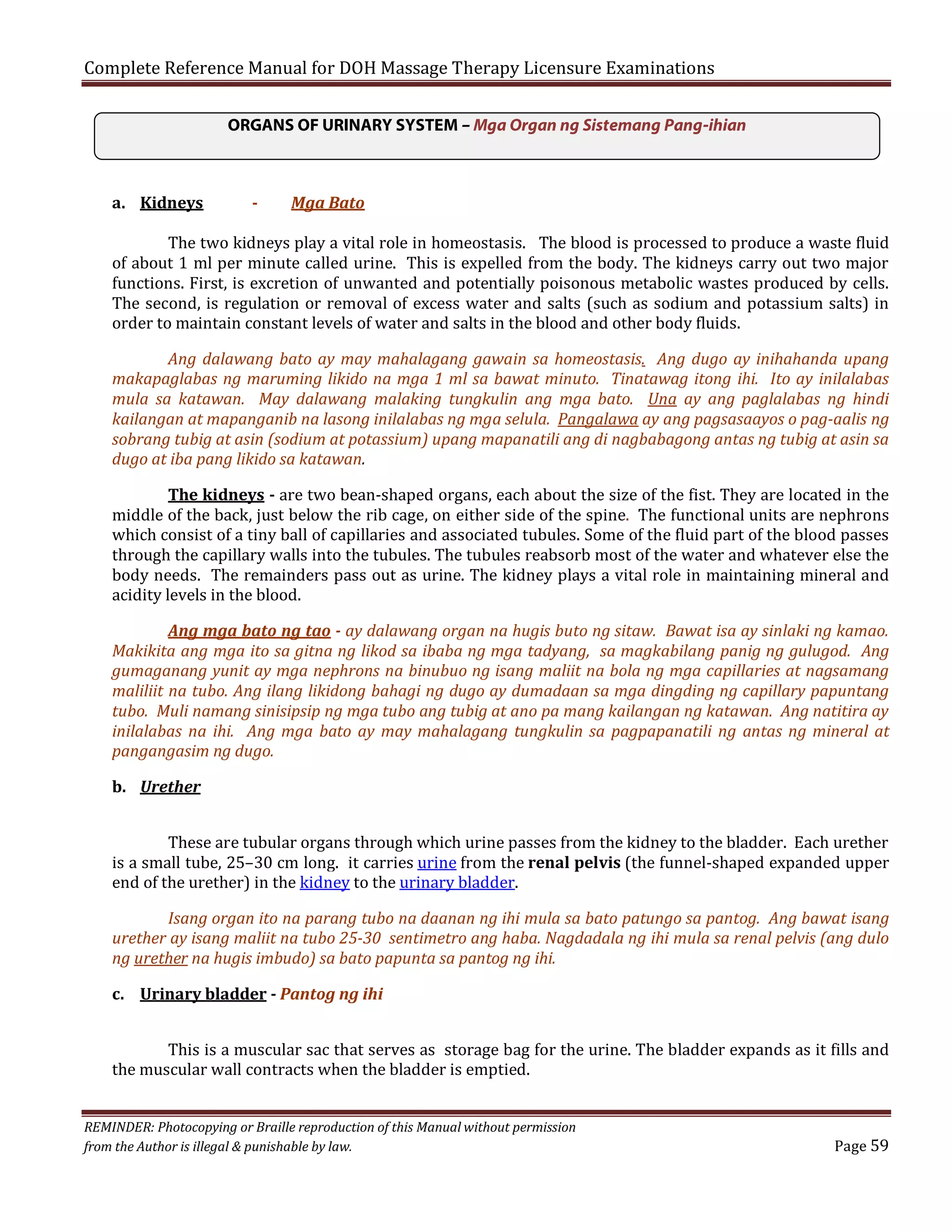 Complete Reference Manual for DOH Massage Therapy Licensure Examinations

ORGANS OF URINARY SYSTEM – Mga Organ ng Sistemang Pang-ihian

a. Kidneys

-

Mga Bato

The two kidneys play a vital role in homeostasis. The blood is processed to produce a waste fluid
of about 1 ml per minute called urine. This is expelled from the body. The kidneys carry out two major
functions. First, is excretion of unwanted and potentially poisonous metabolic wastes produced by cells.
The second, is regulation or removal of excess water and salts (such as sodium and potassium salts) in
order to maintain constant levels of water and salts in the blood and other body fluids.

Ang dalawang bato ay may mahalagang gawain sa homeostasis. Ang dugo ay inihahanda upang
makapaglabas ng maruming likido na mga 1 ml sa bawat minuto. Tinatawag itong ihi. Ito ay inilalabas
mula sa katawan. May dalawang malaking tungkulin ang mga bato. Una ay ang paglalabas ng hindi
kailangan at mapanganib na lasong inilalabas ng mga selula. Pangalawa ay ang pagsasaayos o pag-aalis ng
sobrang tubig at asin (sodium at potassium) upang mapanatili ang di nagbabagong antas ng tubig at asin sa
dugo at iba pang likido sa katawan.
The kidneys - are two bean-shaped organs, each about the size of the fist. They are located in the
middle of the back, just below the rib cage, on either side of the spine. The functional units are nephrons
which consist of a tiny ball of capillaries and associated tubules. Some of the fluid part of the blood passes
through the capillary walls into the tubules. The tubules reabsorb most of the water and whatever else the
body needs. The remainders pass out as urine. The kidney plays a vital role in maintaining mineral and
acidity levels in the blood.

Ang mga bato ng tao - ay dalawang organ na hugis buto ng sitaw. Bawat isa ay sinlaki ng kamao.
Makikita ang mga ito sa gitna ng likod sa ibaba ng mga tadyang, sa magkabilang panig ng gulugod. Ang
gumaganang yunit ay mga nephrons na binubuo ng isang maliit na bola ng mga capillaries at nagsamang
maliliit na tubo. Ang ilang likidong bahagi ng dugo ay dumadaan sa mga dingding ng capillary papuntang
tubo. Muli namang sinisipsip ng mga tubo ang tubig at ano pa mang kailangan ng katawan. Ang natitira ay
inilalabas na ihi. Ang mga bato ay may mahalagang tungkulin sa pagpapanatili ng antas ng mineral at
pangangasim ng dugo.

b. Urether

These are tubular organs through which urine passes from the kidney to the bladder. Each urether
is a small tube, 25–30 cm long. it carries urine from the renal pelvis (the funnel-shaped expanded upper
end of the urether) in the kidney to the urinary bladder.

Isang organ ito na parang tubo na daanan ng ihi mula sa bato patungo sa pantog. Ang bawat isang
urether ay isang maliit na tubo 25-30 sentimetro ang haba. Nagdadala ng ihi mula sa renal pelvis (ang dulo
ng urether na hugis imbudo) sa bato papunta sa pantog ng ihi.
c. Urinary bladder - Pantog ng ihi

This is a muscular sac that serves as storage bag for the urine. The bladder expands as it fills and
the muscular wall contracts when the bladder is emptied.

REMINDER: Photocopying or Braille reproduction of this Manual without permission
from the Author is illegal & punishable by law.

Page 59

 