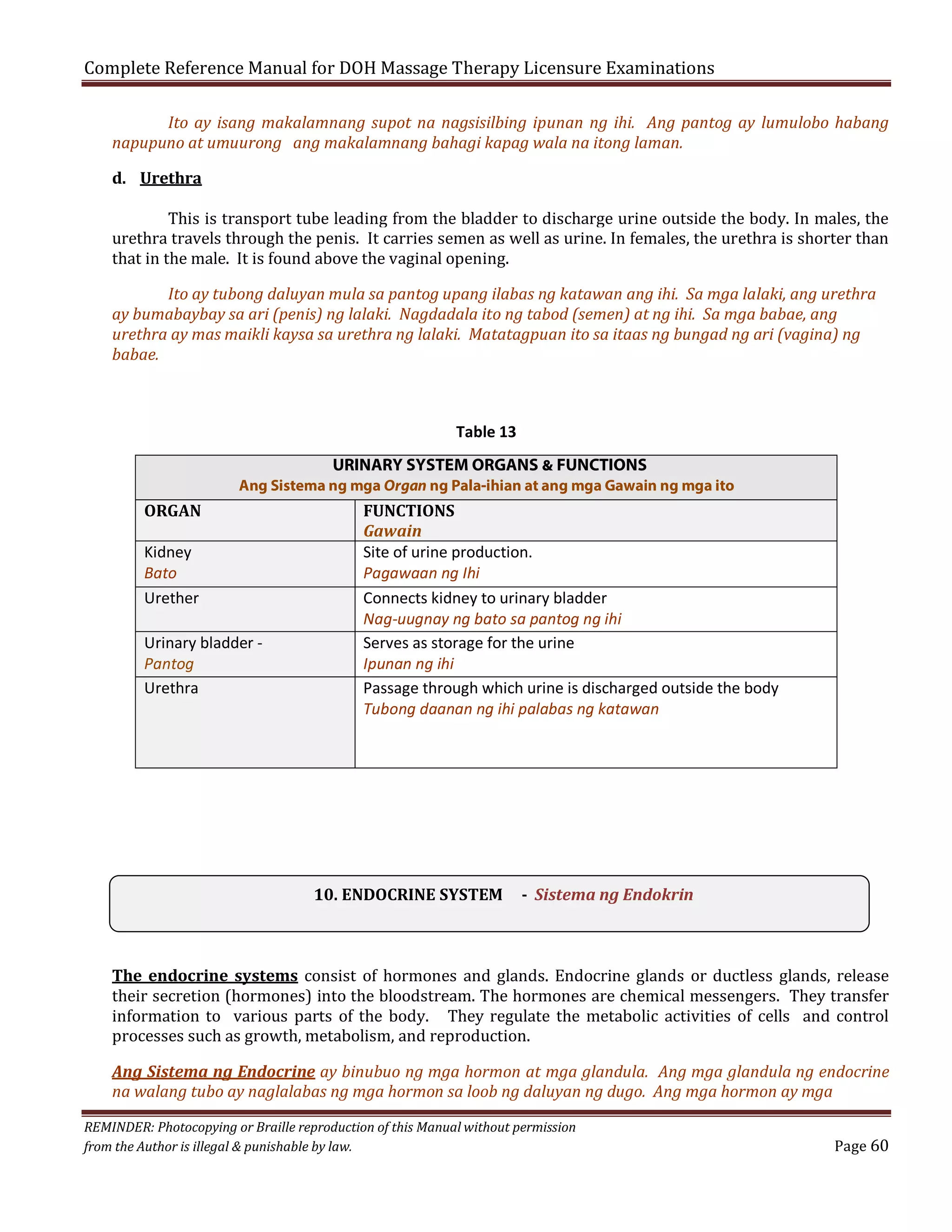 Complete Reference Manual for DOH Massage Therapy Licensure Examinations

Ito ay isang makalamnang supot na nagsisilbing ipunan ng ihi. Ang pantog ay lumulobo habang
napupuno at umuurong ang makalamnang bahagi kapag wala na itong laman.
d. Urethra

This is transport tube leading from the bladder to discharge urine outside the body. In males, the
urethra travels through the penis. It carries semen as well as urine. In females, the urethra is shorter than
that in the male. It is found above the vaginal opening.

Ito ay tubong daluyan mula sa pantog upang ilabas ng katawan ang ihi. Sa mga lalaki, ang urethra
ay bumabaybay sa ari (penis) ng lalaki. Nagdadala ito ng tabod (semen) at ng ihi. Sa mga babae, ang
urethra ay mas maikli kaysa sa urethra ng lalaki. Matatagpuan ito sa itaas ng bungad ng ari (vagina) ng
babae.

Table 13
URINARY SYSTEM ORGANS & FUNCTIONS
Ang Sistema ng mga Organ ng Pala-ihian at ang mga Gawain ng mga ito

ORGAN
Kidney
Bato
Urether
Urinary bladder Pantog
Urethra

FUNCTIONS
Gawain
Site of urine production.
Pagawaan ng Ihi
Connects kidney to urinary bladder
Nag-uugnay ng bato sa pantog ng ihi
Serves as storage for the urine
Ipunan ng ihi
Passage through which urine is discharged outside the body
Tubong daanan ng ihi palabas ng katawan

10. ENDOCRINE SYSTEM

- Sistema ng Endokrin

The endocrine systems consist of hormones and glands. Endocrine glands or ductless glands, release
their secretion (hormones) into the bloodstream. The hormones are chemical messengers. They transfer
information to various parts of the body. They regulate the metabolic activities of cells and control
processes such as growth, metabolism, and reproduction.

Ang Sistema ng Endocrine ay binubuo ng mga hormon at mga glandula. Ang mga glandula ng endocrine
na walang tubo ay naglalabas ng mga hormon sa loob ng daluyan ng dugo. Ang mga hormon ay mga
REMINDER: Photocopying or Braille reproduction of this Manual without permission
from the Author is illegal & punishable by law.

Page 60

 