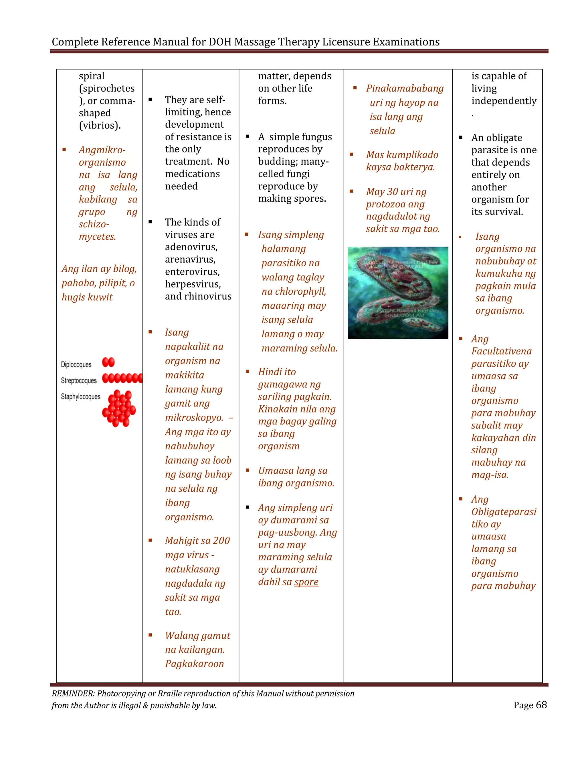 Complete Reference Manual for DOH Massage Therapy Licensure Examinations



spiral
(spirochetes
), or commashaped
(vibrios).



Angmikroorganismo
na isa lang
ang selula,
kabilang sa
grupo
ng

schizomycetes.

Ang ilan ay bilog,
pahaba, pilipit, o
hugis kuwit


They are selflimiting, hence
development
of resistance is
the only
treatment. No
medications
needed
The kinds of
viruses are
adenovirus,
arenavirus,
enterovirus,
herpesvirus,
and rhinovirus

Isang
napakaliit na
organism na
makikita
lamang kung
gamit ang
mikroskopyo. –
Ang mga ito ay
nabubuhay
lamang sa loob
ng isang buhay
na selula ng
ibang
organismo.



Mahigit sa 200
mga virus natuklasang
nagdadala ng
sakit sa mga
tao.



matter, depends
on other life
forms.

 A simple fungus
reproduces by
budding; manycelled fungi
reproduce by
making spores.

 Pinakamababang
uri ng hayop na
isa lang ang
selula


Mas kumplikado
kaysa bakterya.



May 30 uri ng
protozoa ang
nagdudulot ng
sakit sa mga tao.

 Isang simpleng
halamang
parasitiko na
walang taglay
na chlorophyll,
maaaring may
isang selula
lamang o may
maraming selula.
 Hindi ito
gumagawa ng
sariling pagkain.
Kinakain nila ang
mga bagay galing
sa ibang
organism
 Umaasa lang sa
ibang organismo.
 Ang simpleng uri
ay dumarami sa
pag-uusbong. Ang
uri na may
maraming selula
ay dumarami
dahil sa spore

is capable of
living
independently
.

 An obligate
parasite is one
that depends
entirely on
another
organism for
its survival.


Isang
organismo na
nabubuhay at
kumukuha ng
pagkain mula
sa ibang
organismo.

 Ang
Facultativena
parasitiko ay
umaasa sa
ibang
organismo
para mabuhay
subalit may
kakayahan din
silang
mabuhay na
mag-isa.
 Ang
Obligateparasi
tiko ay
umaasa
lamang sa
ibang
organismo
para mabuhay

Walang gamut
na kailangan.
Pagkakaroon

REMINDER: Photocopying or Braille reproduction of this Manual without permission
from the Author is illegal & punishable by law.

Page 68

 