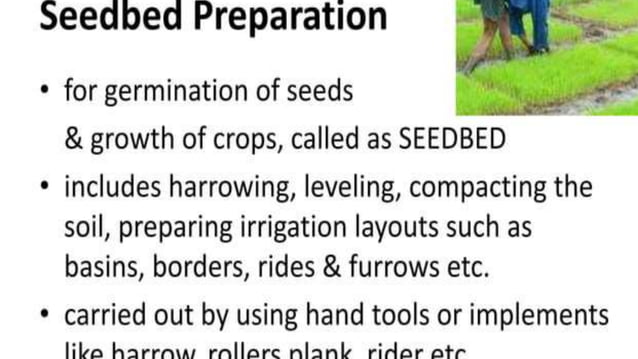 Complete Rice Cultivation.pptx