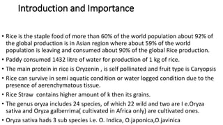 Complete Rice Cultivation.pptx