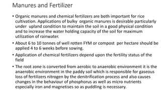 Fym Well Rotted Complete Rice Cultivation.pptx