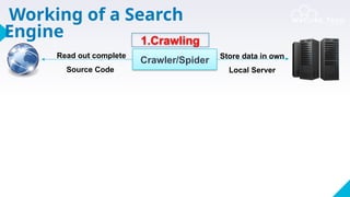 www.wscubetech.com
Crawler/Spider
Read out complete
Source Code
Store data in own
Local Server
1.Crawling
Working of a Search
Engine
 