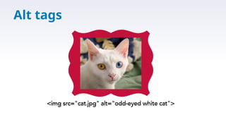 Alt tags
 