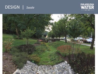 DESIGN | Swale
 