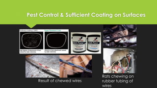 Pest Control & Sufficient Coating on Surfaces
Rats chewing on
rubber tubing of
wires
Result of chewed wires
 