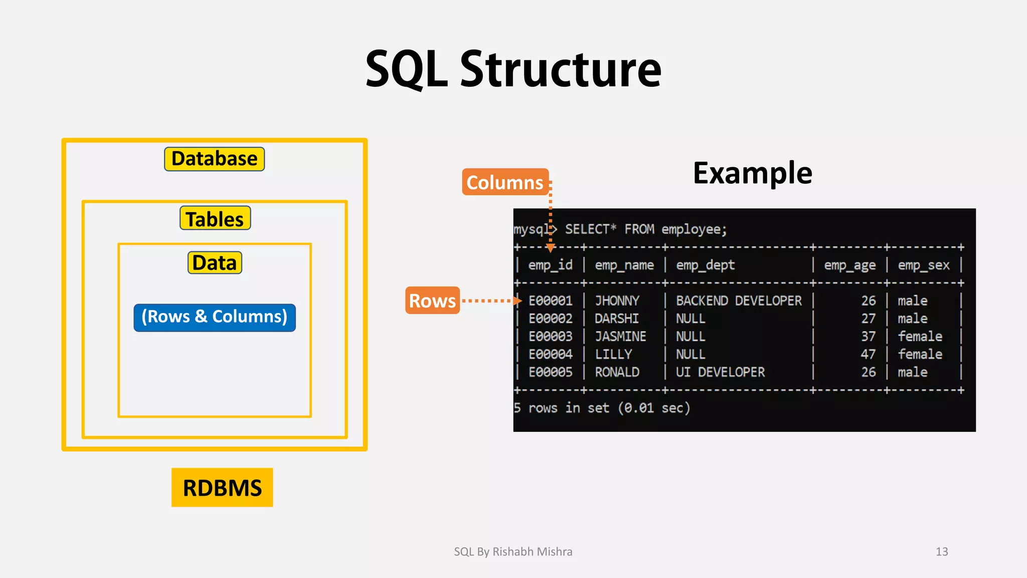 Example
Database
Tables
Data
(Rows & Columns)
Rows
Columns
RDBMS
SQL By Rishabh Mishra 13
 