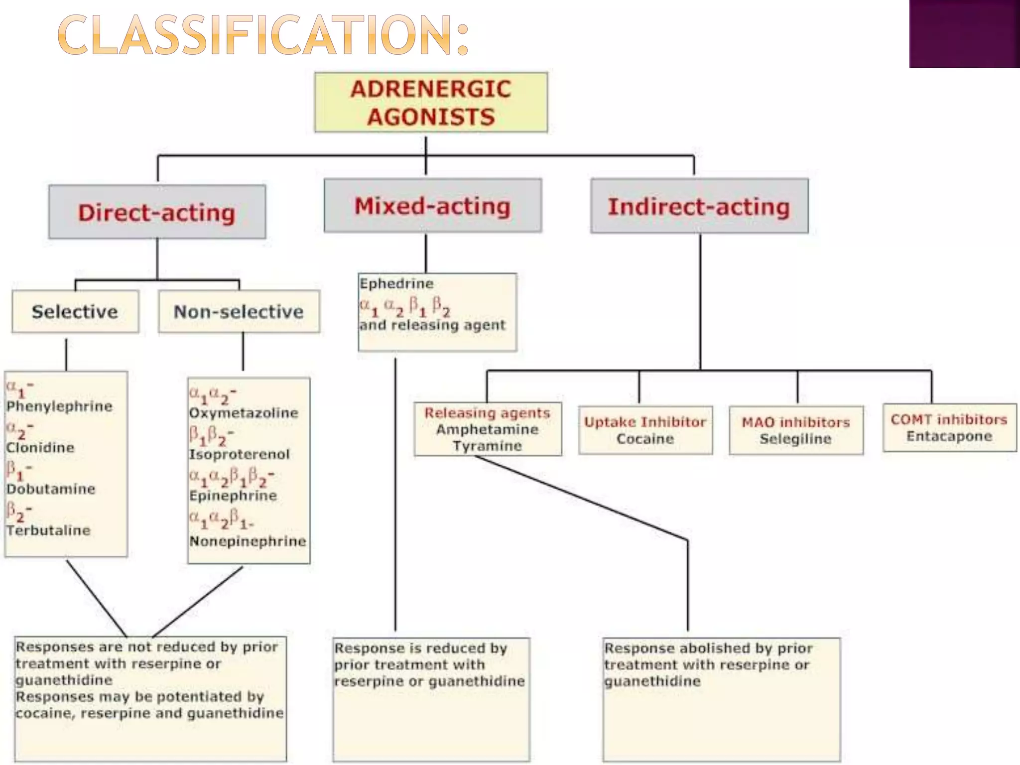 adrenergic agonists & antagonists | PPTX