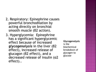 2. Respiratory: Epinephrine causes
powerful bronchodilation by
acting directly on bronchial
smooth muscle (β2 action).
3. Hyperglycemia: Epinephrine
has a significant hyperglycemic
effect because of increased
glycogenolysis in the liver (β2
effect), increased release of
glucagon (β2 effect), and a
decreased release of insulin (α2
effect)..
Glycogenolysis
is the
biochemical
breakdown of
glycogen to
glucose
 