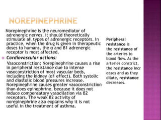 Norepinephrine is the neuromediator of
adrenergic nerves, it should theoretically
stimulate all types of adrenergic receptors. In
practice, when the drug is given in therapeutic
doses to humans, the α and β1 adrenergic
receptor is most affected.
 Cardiovascular actions:
Vasoconstriction: Norepinephrine causes a rise
in peripheral resistance due to intense
vasoconstriction of most vascular beds,
including the kidney (α1 effect). Both systolic
and diastolic blood pressures increase.
Norepinephrine causes greater vasoconstriction
than does epinephrine, because it does not
induce compensatory vasodilation via β2
receptors. The weak β2 activity of
norepinephrine also explains why it is not
useful in the treatment of asthma.
Peripheral
resistance is
the resistance of
the arteries to
blood flow. As the
arteries constrict,
the resistance incr
eases and as they
dilate, resistance
decreases.
 