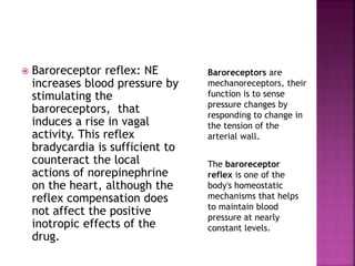  Baroreceptor reflex: NE
increases blood pressure by
stimulating the
baroreceptors, that
induces a rise in vagal
activity. This reflex
bradycardia is sufficient to
counteract the local
actions of norepinephrine
on the heart, although the
reflex compensation does
not affect the positive
inotropic effects of the
drug.
Baroreceptors are
mechanoreceptors, their
function is to sense
pressure changes by
responding to change in
the tension of the
arterial wall.
The baroreceptor
reflex is one of the
body's homeostatic
mechanisms that helps
to maintain blood
pressure at nearly
constant levels.
 