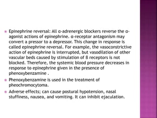  Epinephrine reversal: All α-adrenergic blockers reverse the α-
agonist actions of epinephrine. α-receptor antagonism may
convert a pressor to a depressor. This change in response is
called epinephrine reversal. For example, the vasoconstrictive
action of epinephrine is interrupted, but vasodilation of other
vascular beds caused by stimulation of β receptors is not
blocked. Therefore, the systemic blood pressure decreases in
response to epinephrine given in the presence of
phenoxybenzamine .
 Phenoxybenzamine is used in the treatment of
pheochromocytoma.
 Adverse effects; can cause postural hypotension, nasal
stuffiness, nausea, and vomiting. It can inhibit ejaculation.
 