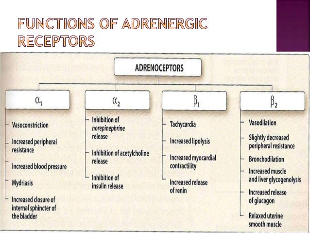 Adrenergic Agonists Antagonists