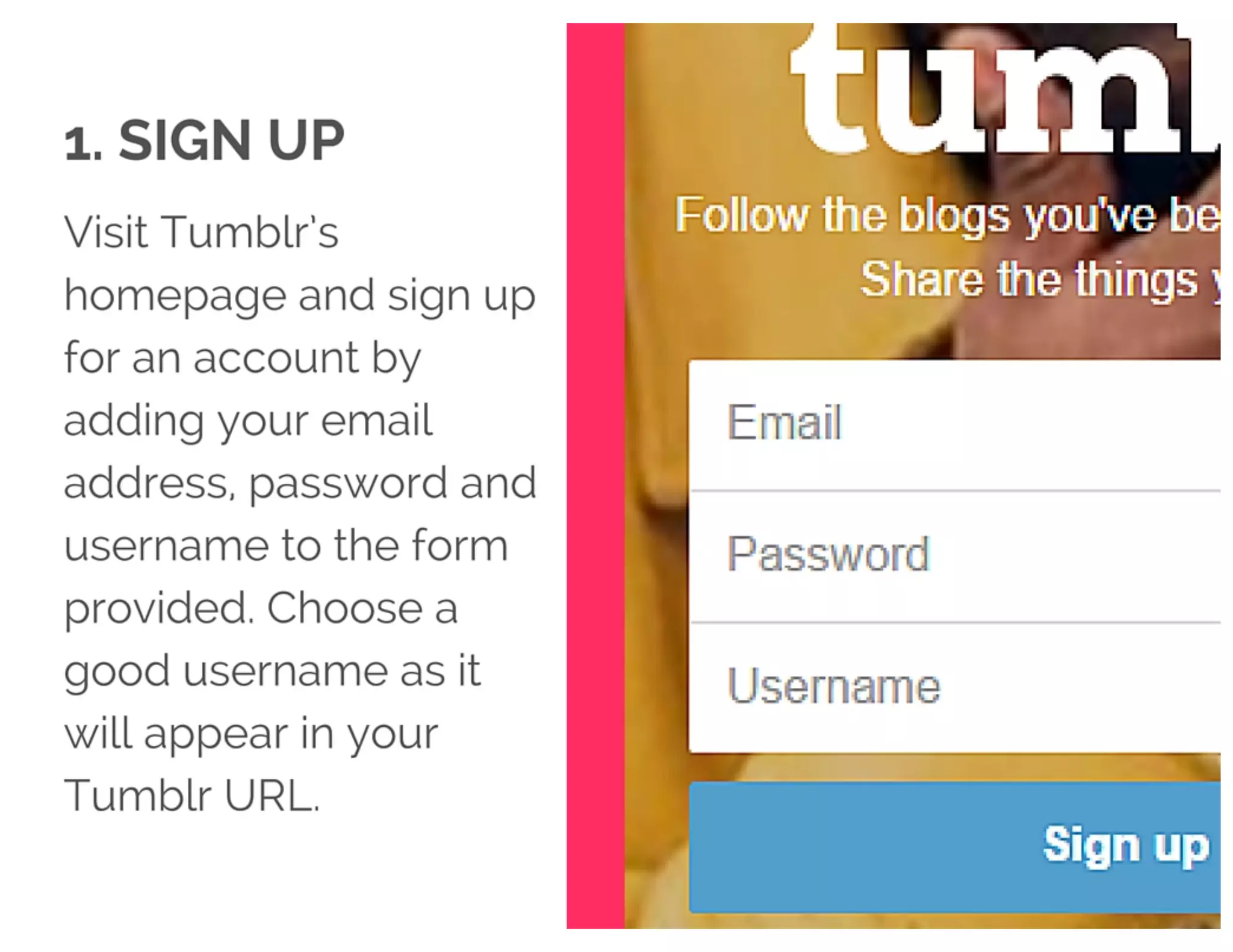 The Complete Starter Guide To Tumblr Marketing