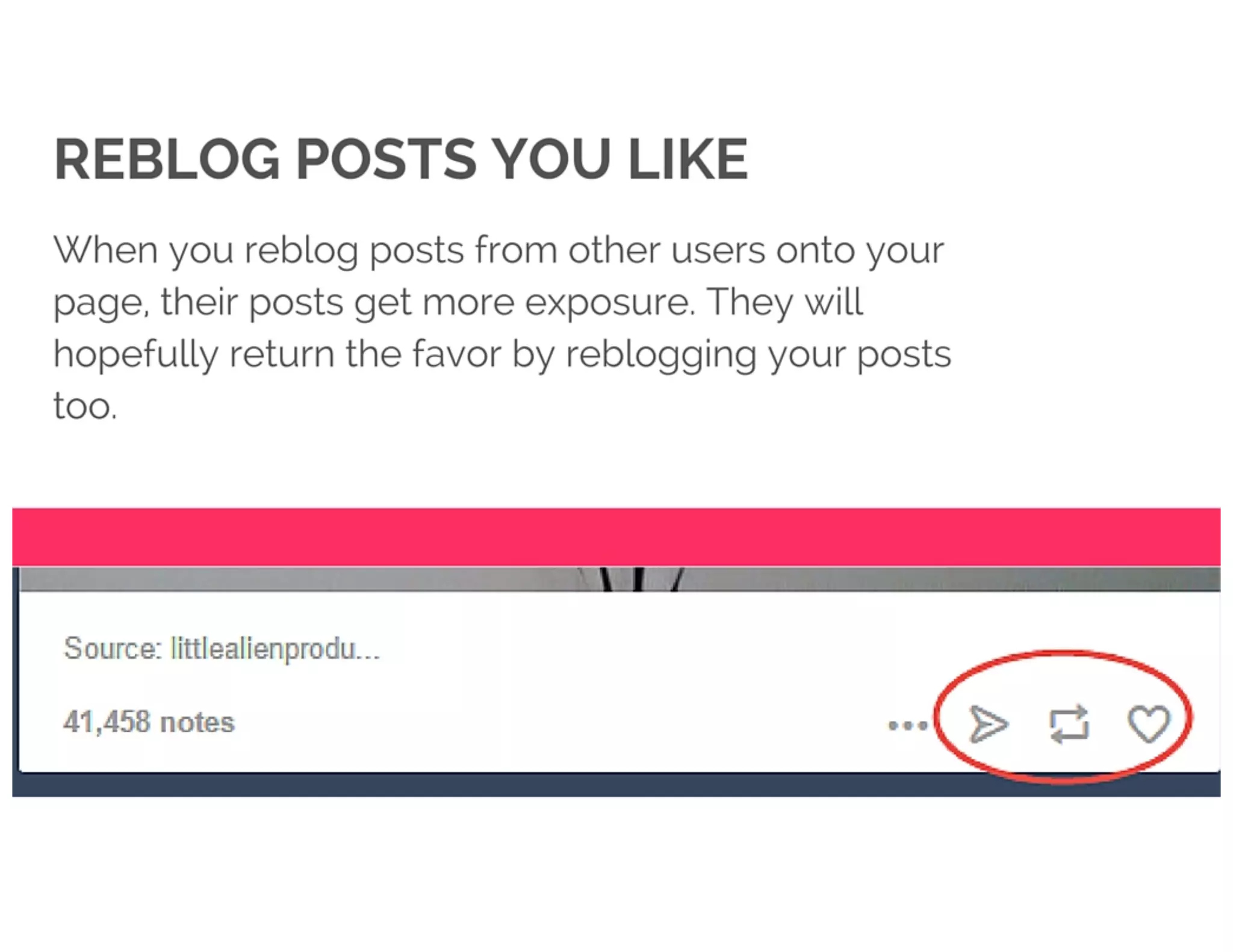 The Complete Starter Guide To Tumblr Marketing