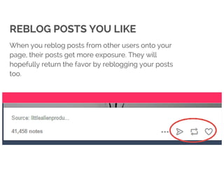 The Complete Starter Guide To Tumblr Marketing