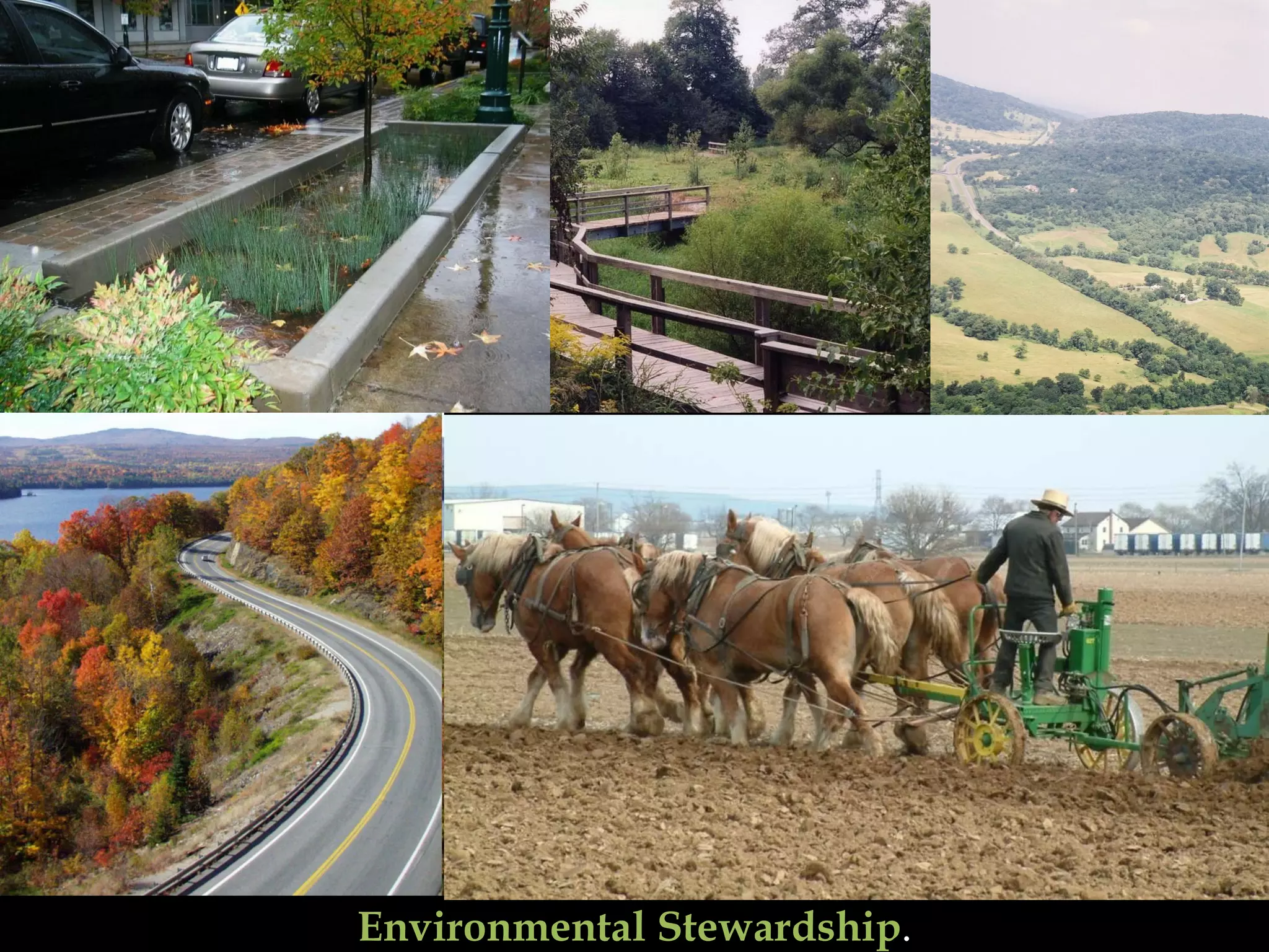 Environmental Stewardship . 