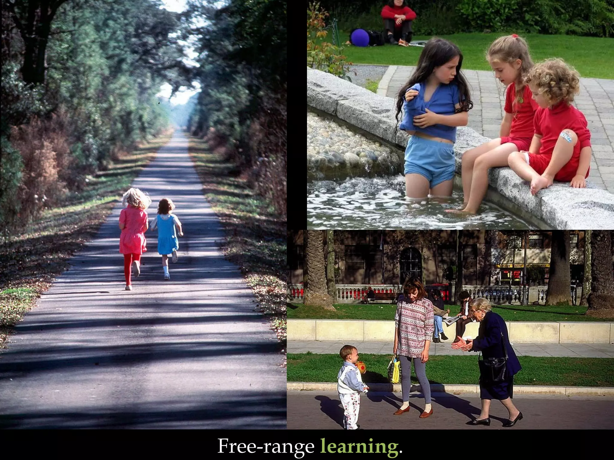 Free-range  learning . 