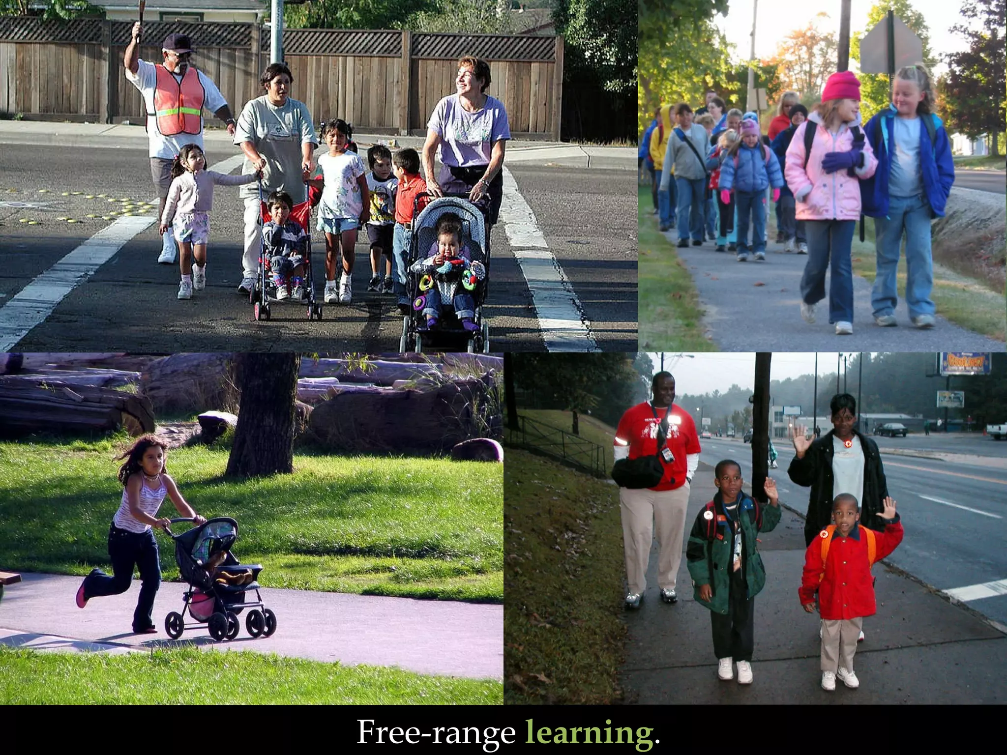 Free-range  learning . 