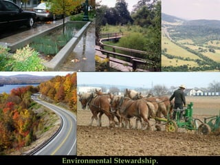Environmental Stewardship . 