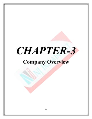 42
CHAPTER-3
Company Overview
 