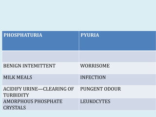 Complete urine examination | PPTX