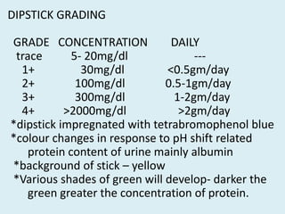 Complete urine examination | PPTX