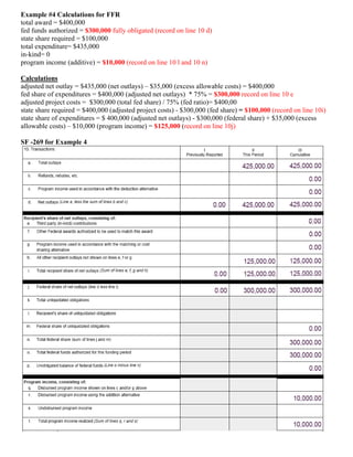 Completing The FFR SF-425 Version 1 1 Final9309pm | PDF