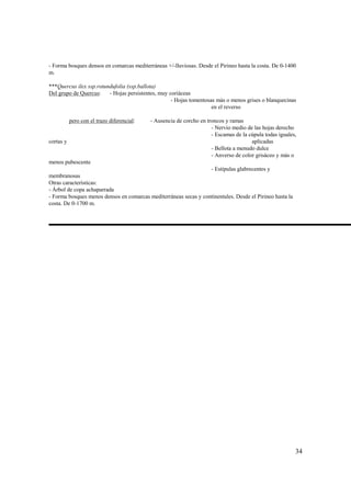 - Forma bosques densos en comarcas mediterráneas +/-lluviosas. Desde el Pirineo hasta la costa. De 0-1400
m.

***Quercus ilex ssp.rotundufolia (ssp.ballota)
Del grupo de Quercus:    - Hojas persistentes, muy coriáceas
                                                    - Hojas tomentosas más o menos grises o blanquecinas
                                                                     en el reverso

           pero con el trazo diferencial:   - Ausencia de corcho en troncos y ramas
                                                                      - Nervio medio de las hojas derecho
                                                                      - Escamas de la cúpula todas iguales,
cortas y                                                                               aplicadas
                                                                      - Bellota a menudo dulce
                                                                      - Anverso de color grisáceo y más o
menos pubescente
                                                                  - Estípulas glabrecentes y
membranosas
Otras características:
- Árbol de copa achaparrada
- Forma bosques menos densos en comarcas mediterráneas secas y continentales. Desde el Pirineo hasta la
costa. De 0-1700 m.




                                                                                                          34
 