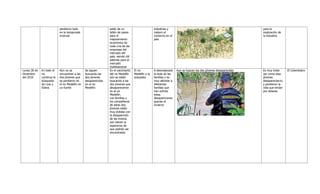 Tabla cronólogica: Diciembre