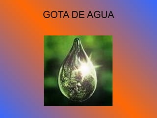 GOTA DE AGUA 