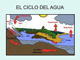 EL CICLO DEL AGUA 