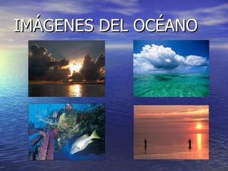 IMÁGENES DEL OCÉANO 