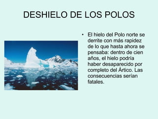 DESHIELO DE LOS POLOS El hielo del Polo norte se derrite con más rapidez de lo que hasta ahora se pensaba: dentro de cien años, el hielo podría haber desaparecido por completo del Ártico. Las consecuencias serían fatales. 