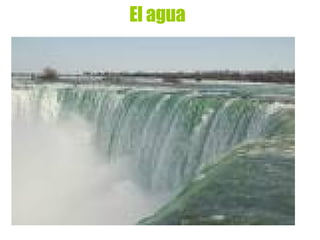 El agua 