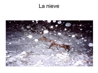La nieve 