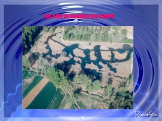 LOS OJOS DE MONREAL DEL CAMPO 