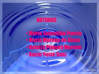 AUTORAS Marta Sebastián Puerta María Morena de Álava Natal i a Plumed Moreno Rocío Yuste Sanz 