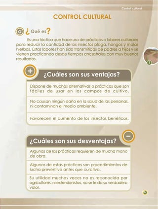 Control cultural

CONTROL CULTURAL

?

a

?

Qué es

Es una táctica que hace uso de prácticas o labores culturales
para reducir la cantidad de los insectos plaga, hongos y malas
hierbas. Estas labores han sido transmitidas de padres a hijos y se
vienen practicando desde tiempos ancestrales con muy buenos
resultados.

¿Cuáles son sus ventajas?
Dispone de muchas alternativas o prácticas que son
fáciles de usar en los campos de cultivo.
No causan ningún daño en la salud de las personas,
ni contaminan el medio ambiente.
Favorecen el aumento de los insectos benéficos.

¿Cuáles son sus desventajas?
Algunas de las prácticas requieren de mucha mano
de obra.
Algunas de estas prácticas son procedimientos de
lucha preventiva antes que curativa.
Su utilidad muchas veces no es reconocida por
agricultores, ni extensionistas, no se le da su verdadero
valor.
19

 