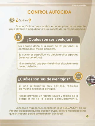 Control autocida

CONTROL AUTOCIDA

?

a

Qué es

?

Es una táctica que consiste en el empleo de un insecto
para destruir o perjudicar a otro insecto de su misma especie.

¿Cuáles son sus ventajas?
No causan daño a la salud de las personas, ni
contaminan el medio ambiente.
Su control es específico, no afecta a otras especies.
(insectos benéficos).
Es una medida que permite eliminar el problema de
forma definitiva.

¿Cuáles son sus desventajas?
Es una alternativa muy costosa, requiere
de mucha inversión al principio.
Puede provocar un rebrote severo y rápido de la
plaga si no se la aplica adecuadamente.

La técnica más común consiste en la ESTERILIZACIÓN de los
insectos plaga para que no puedan cruzar, de esta manera se evita
que los insectos plaga aumenten en cantidad.
49

 
