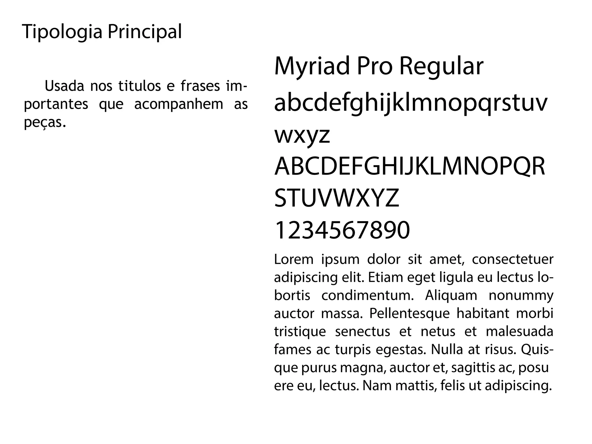 TipologiaPrincipal
Usadanostitulosefrasesim-
portantesque acompanhem as
peças.
MyriadProRegular
abcdefghijklmnopqrstuv
wxyz
ABCDEFGHIJKLMNOPQR
STUVWXYZ
1234567890
LLorem ipsum dolorsitamet,consectetuer
adipiscingelit.Etiamegetligulaeulectuslo-
bortiscondimentum.Aliquam nonummy
auctormassa.Pellentesquehabitantmorbi
tristiquesenectusetnetusetmalesuada
famesacturpisegestas.Nullaatrisus.Quis-
quepurusmagna,auctoret,sagittisac,posu
ereeu,lectus.Nammattis,felisutadipiscing.
 