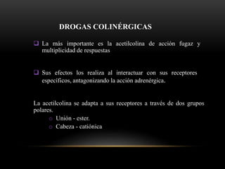 La acetilcolina se adapta a sus receptores a través de dos grupos
polares.
o Unión - ester.
o Cabeza - catiónica
DROGAS COLINÉRGICAS
 La más importante es la acetilcolina de acción fugaz y
multiplicidad de respuestas
 Sus efectos los realiza al interactuar con sus receptores
específicos, antagonizando la acción adrenérgica.
 