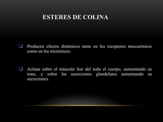 ESTERES DE COLINA
 Producen efectos dinámicos tanto en los receptores muscarínicos
como en los nicotínicos.
 Actúan sobre el músculo liso del todo el cuerpo, aumentando su
tono, y sobre las secreciones glandulares aumentando su
secreciones.
 