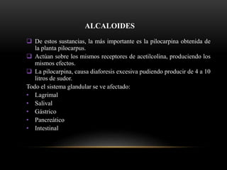 ALCALOIDES
 De estos sustancias, la más importante es la pilocarpina obtenida de
la planta pilocarpus.
 Actúan sobre los mismos receptores de acetilcolina, produciendo los
mismos efectos.
 La pilocarpina, causa diaforesis excesiva pudiendo producir de 4 a 10
litros de sudor.
Todo el sistema glandular se ve afectado:
• Lagrimal
• Salival
• Gástrico
• Pancreático
• Intestinal
 
