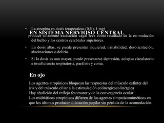 EN SISTEMA NERVIOSO CENTRAL
• La atropina en dosis terapéuticas (0,5 a 1 mg)
produce solamente excitación vagal leve como resultado de la estimulación
del bulbo y los centros cerebrales superiores.
• En dosis altas, se puede presentar inquietud, irritabilidad, desorientación,
alucinaciones o delirio.
• Si la dosis es aun mayor, puede presentarse depresión, colapso circulatorio
e insuficiencia respiratoria, parálisis y coma.
En ojo
Los agentes atropínicos bloquean las respuestas del músculo esfínter del
iris y del músculo ciliar a la estimulación colinérgicacolinérgica
Hay abolición del reflejo fotomotor y de la convergencia ocular
Los midriáticos atropínicos difieren de los agentes simpaticomiméticos en
que los últimos producen dilatación pupilar sin pérdida de la acomodación.
 