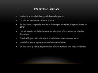 EN OTRAS ÁREAS
• Inhibe la activad de las glándulas sudoríparas
• La piel se torna mas caliente y seca.
• En lactantes, se puede presentar fiebre por atropina, llegando hasta los
43°C.
• Los alcaloides de la belladona, se adsorben eficazmente en el tubo
digestivo.
• Pueden llegar a circulación si se administran de manera local.
• Inhalados, estos agentes no son bien adsorbidos.
• En lactantes y niños pequeños los efectos toxicos son muy evidentes.
 