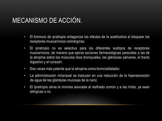 MECANISMO DE ACCIÓN.
• El bromuro de ipratropio antagoniza los efectos de la acetilcolina al bloquear los
receptores muscarínicos colinérgicos.
• El ipratropio no es selectivo para los diferentes subtipos de receptores
muscarínicos, de manera que ejerce acciones farmacológicas parecidas a las de
la atropina sobre los músculos lisos bronquiales, las glándulas salivares, el tracto
digestivo y el corazón.
• Dos veces más potente que la atropina como broncodilatador.
• La administración intranasal se traducen en una reducción de la hipersecreción
de agua de las glándulas mucosas de la nariz.
• El Ipratropio alivia la rinorrea asociada al resfriado común y a las rinitis, ya sean
alérgicas o no.
 