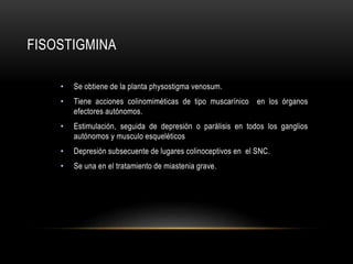 FISOSTIGMINA
• Se obtiene de la planta physostigma venosum.
• Tiene acciones colinomiméticas de tipo muscarínico en los órganos
efectores autónomos.
• Estimulación, seguida de depresión o parálisis en todos los ganglios
autónomos y musculo esqueléticos
• Depresión subsecuente de lugares colinoceptivos en el SNC.
• Se una en el tratamiento de miastenia grave.
 