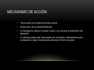MECANISMO DE ACCIÓN
• Tiene acción en el sistema nervioso central.
• Actúa como de la acetilcolinesterasa.
• La fisostigmina reduce la presión ocular y es útil para el tratamiento del
glaucoma
• La eficacia puede estar interrumpida por la atropina, medicamentos para
la depresión o algún medicamento para elevar el tono muscular.
 