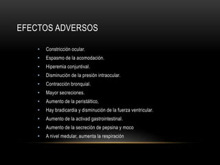 EFECTOS ADVERSOS
• Constricción ocular.
• Espasmo de la acomodación.
• Hiperemia conjuntival.
• Disminución de la presión intraocular.
• Contracción bronquial.
• Mayor secreciones.
• Aumento de la peristáltico,
• Hay bradicardia y disminución de la fuerza ventricular.
• Aumento de la activad gastrointestinal.
• Aumento de la secreción de pepsina y moco
• A nivel medular, aumenta la respiración
 